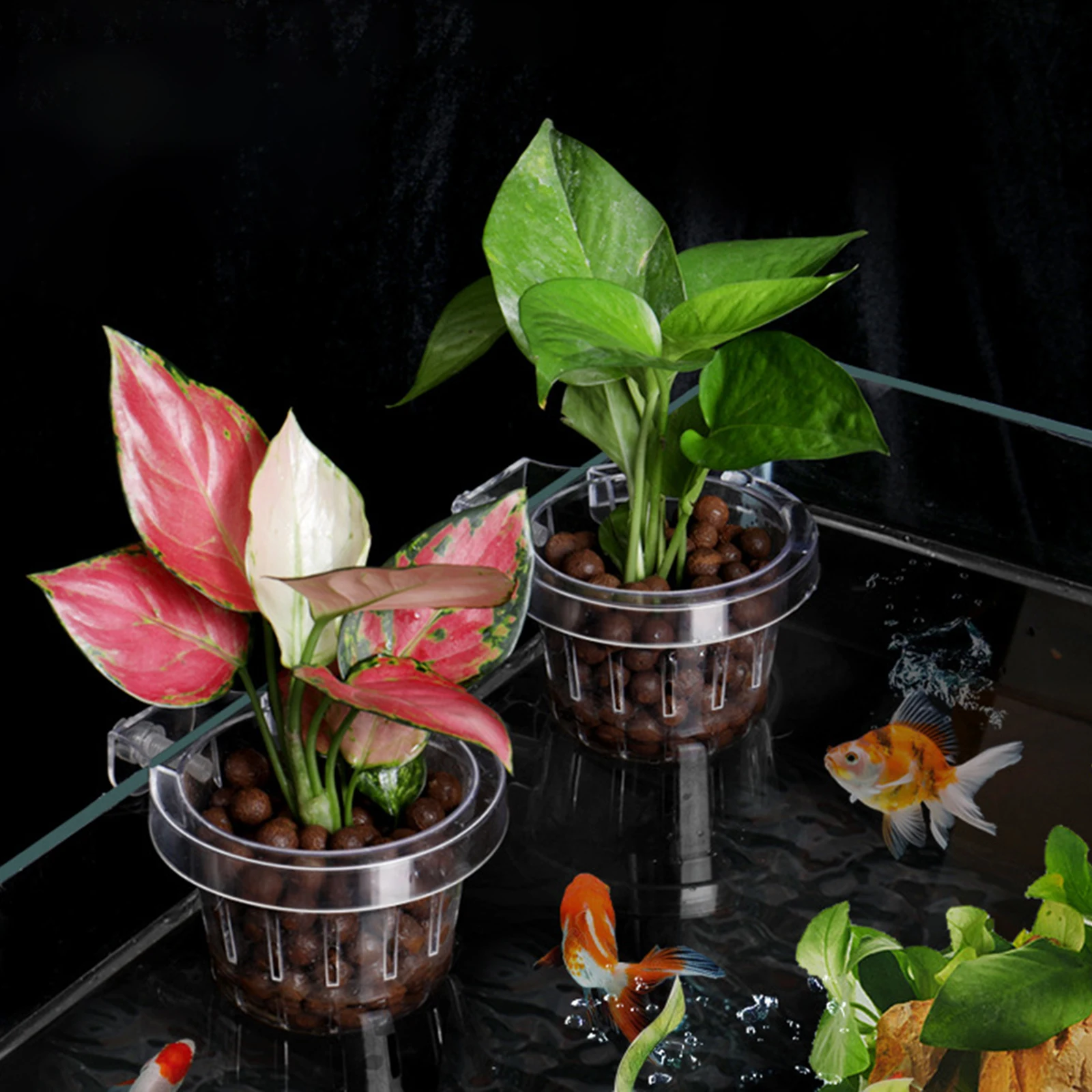 Soporte para plantas de acuario, cesta colgante para plantar césped y agua, tazas para macetero de acuario montadas en la pared para decoración de pecera - imagen 3