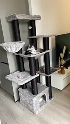 Imagen de reseña 1