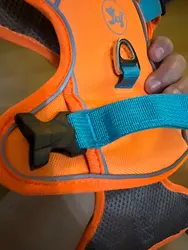 Imagen de reseña 2