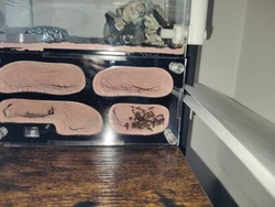 Imagen de reseña 3