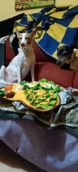 Imagen de reseña 2