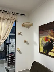 Imagen de reseña 3
