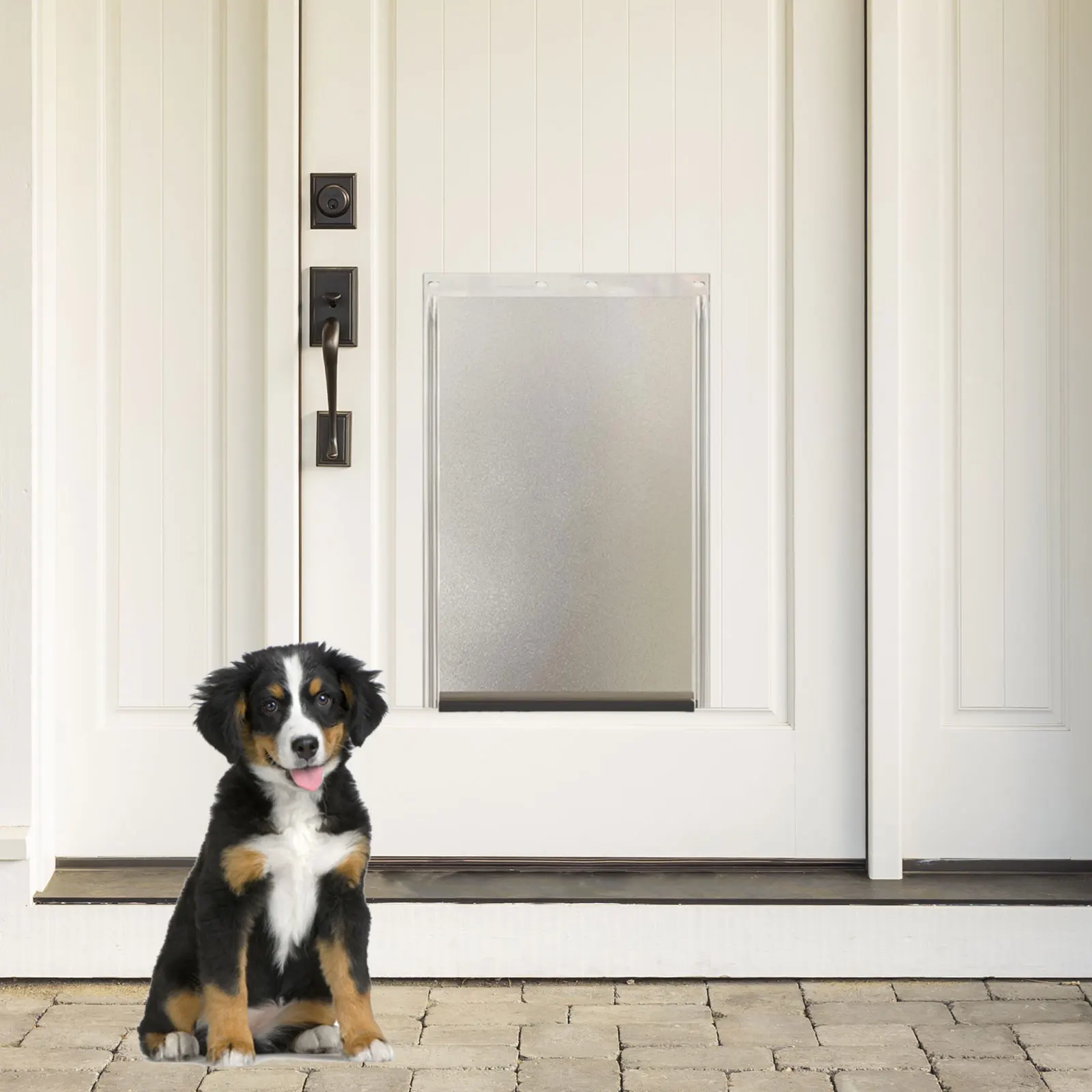 Puerta plegable para perros y gatos – resistente, solapa de repuesto - imagen 2
