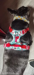 Imagen de reseña 1