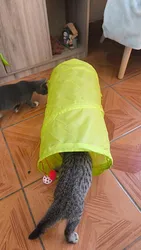 Imagen de reseña 2