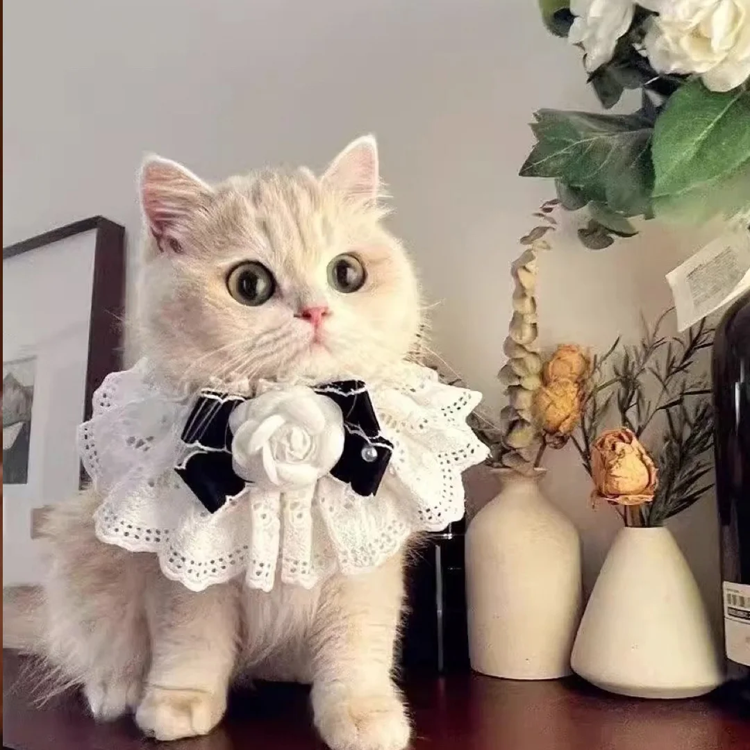 Elegant Pearl Cat Dog Collar Jewelled with Silk Ribbon Scarf Pendant Pet Bowtie Necklace for Puppy Kitten Bow Accessories Bowtie - imagen 3