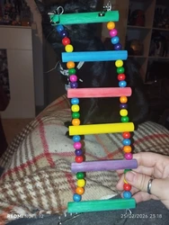 Imagen de reseña 2