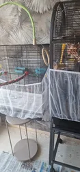 Imagen de reseña 3