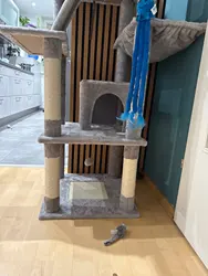 Imagen de reseña 5