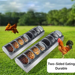 Comedero acero inoxidable para gallinas – Múltiples orificios, gran capacidad