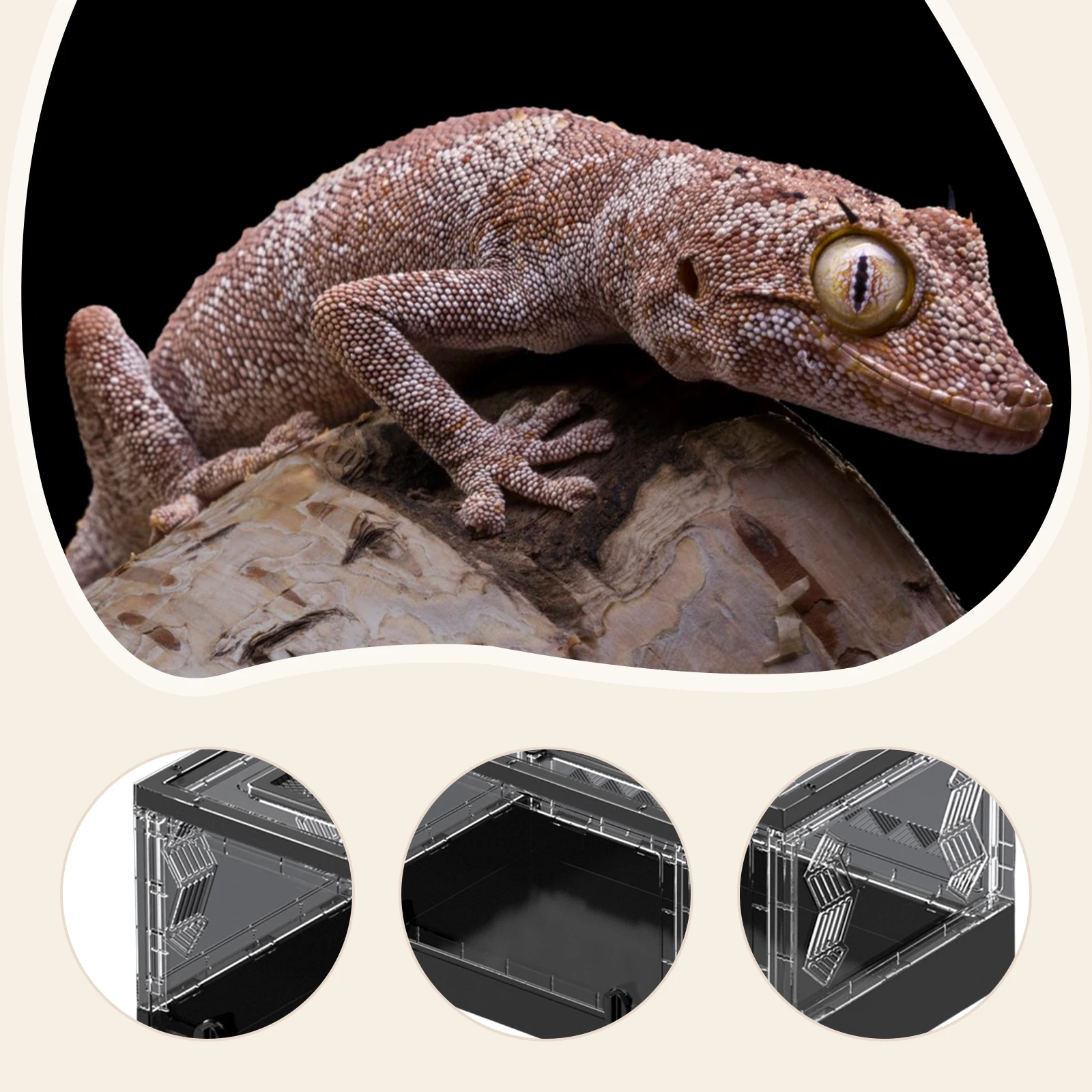 Caja de cría de mascotas plegable transparente, caja de alimentación para mascotas, lagarto, gusano de seda, escorpión, escarabajo, caja pequeña para reptiles - imagen 5