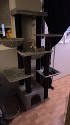 Imagen de reseña 1