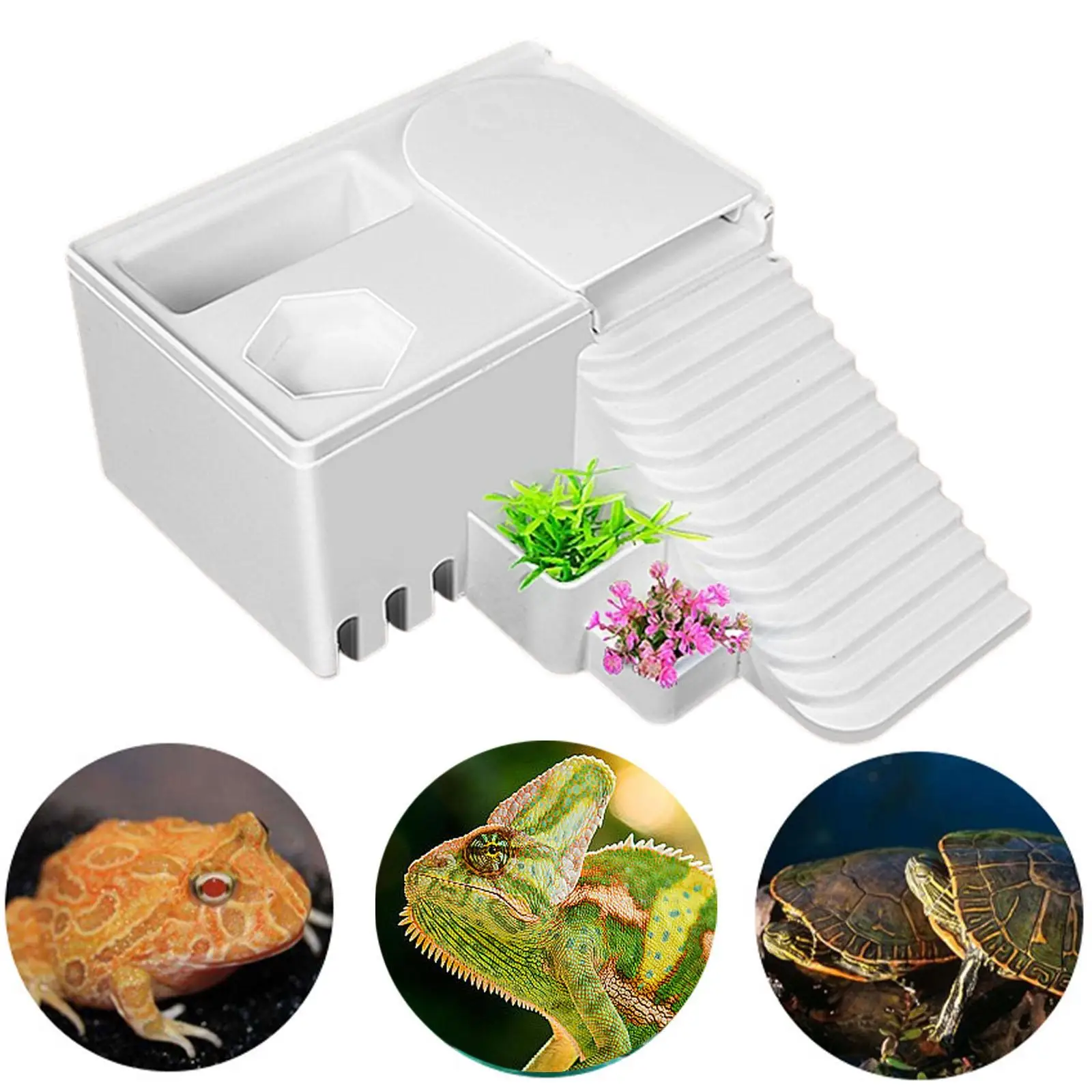 Turtle Basking Platform with Ladder Tortoise Climbing Platform Aquarium Turtles Tank Decorations Fish Tank Dock Platform - imagen 5