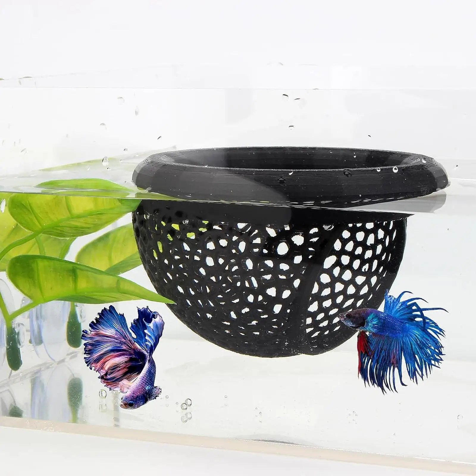Cueva oculta de camarones y peces flotantes, accesorios decorativos para tanque, anillo de alimentación, hamaca de descanso para camarones Betta, pequeño acuático - imagen 4