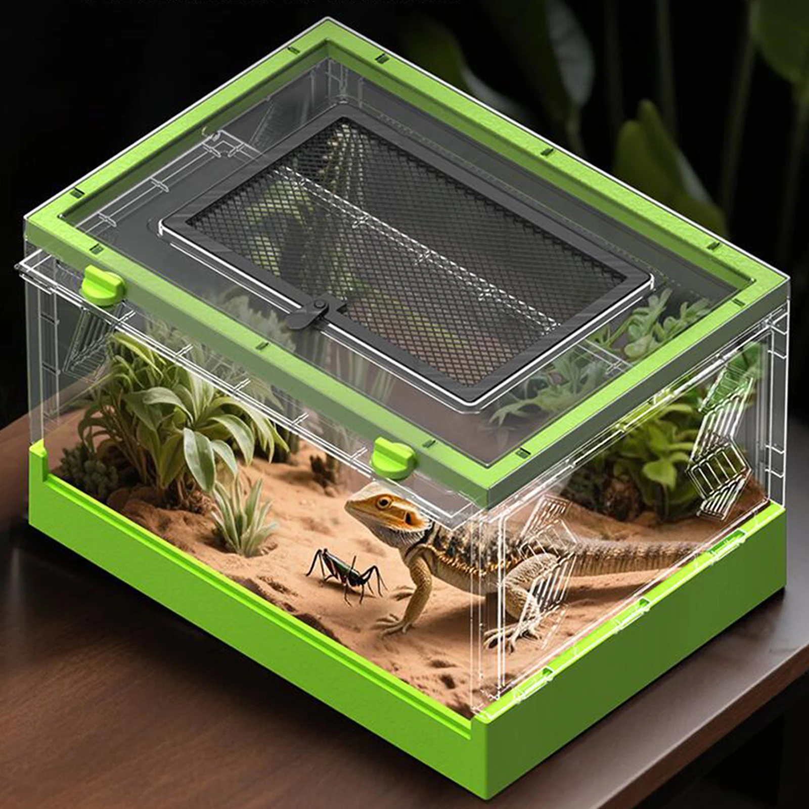 Caja de cría de mascotas plegable transparente, caja de alimentación para mascotas, lagarto, gusano de seda, escorpión, escarabajo, caja pequeña para reptiles