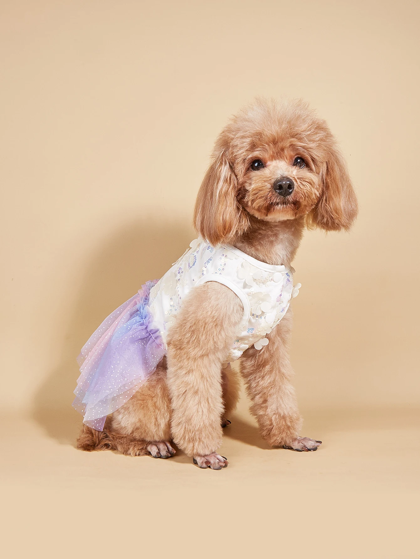 Vestido colorido degradado para mascotas, top floral de lentejuelas con falda de tul arcoíris, ropa de princesa de verano ligera y encantadora - imagen 4