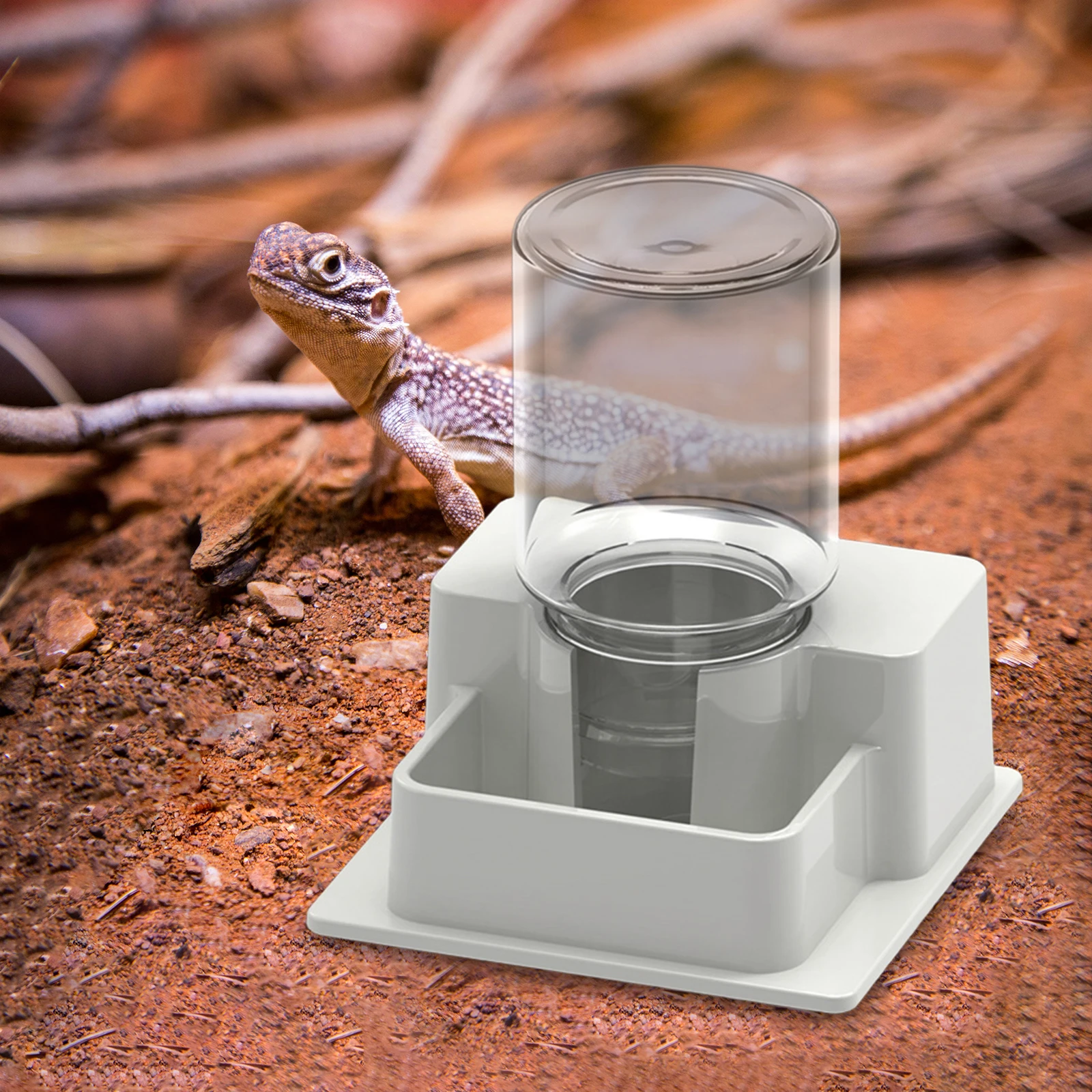 Dispensador automático de agua para reptiles con botella, botella de agua para reptiles, tortuga, plato de agua para anfibios, suministros de alimentación - imagen 2