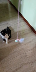 Imagen de reseña 2