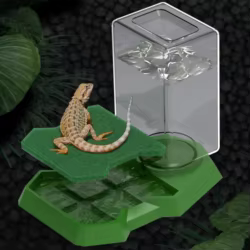 Comedero para reptiles, cuenco de comida y agua para tortugas, bebedero para mascotas para dragón barbudo, anfibios, Geckos, suministros de alimentación para mascotas