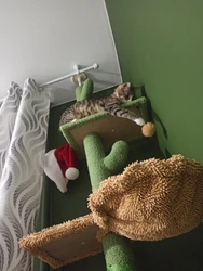 Imagen de reseña 2