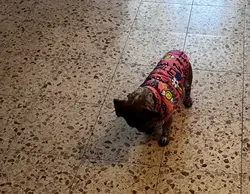 Imagen de reseña 1