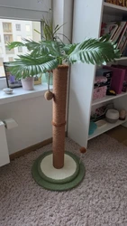 Imagen de reseña 1