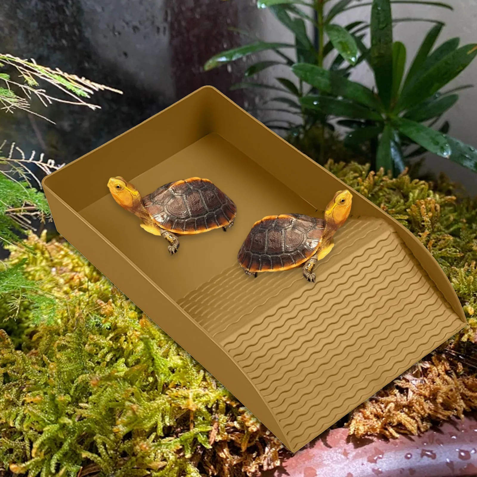 Plataforma de rampa antideslizante de tortuga, plato de comida para reptiles, cuencos de agua para comida, hábitat de piscina, bañera reutilizable, decoración de tanque de acuario
