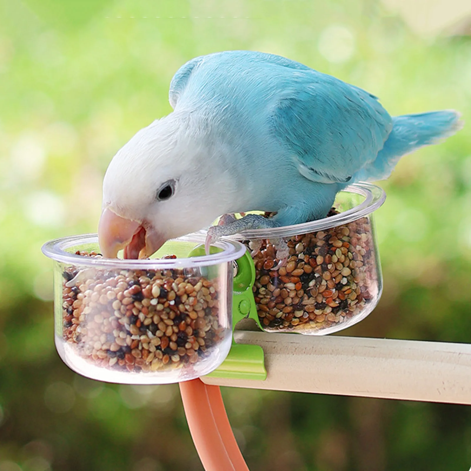 Tazas de alimentación de aves con Clip, tazas de alimentación de aves, cuencos de agua y comida para cacatúas, guacamayos, suministros para pájaros, 2 uds. - imagen 2