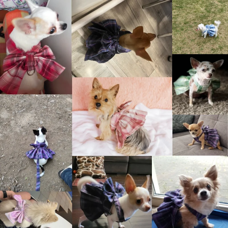 Falda con cuello para perro, arnés con lazo para mascotas con correa para el pecho, cuerda de tracción, ropa para perros pequeños, correa para gato, vestido de falda tutú de princesa - imagen 2