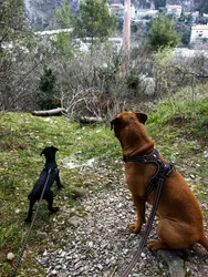 Imagen de reseña 2