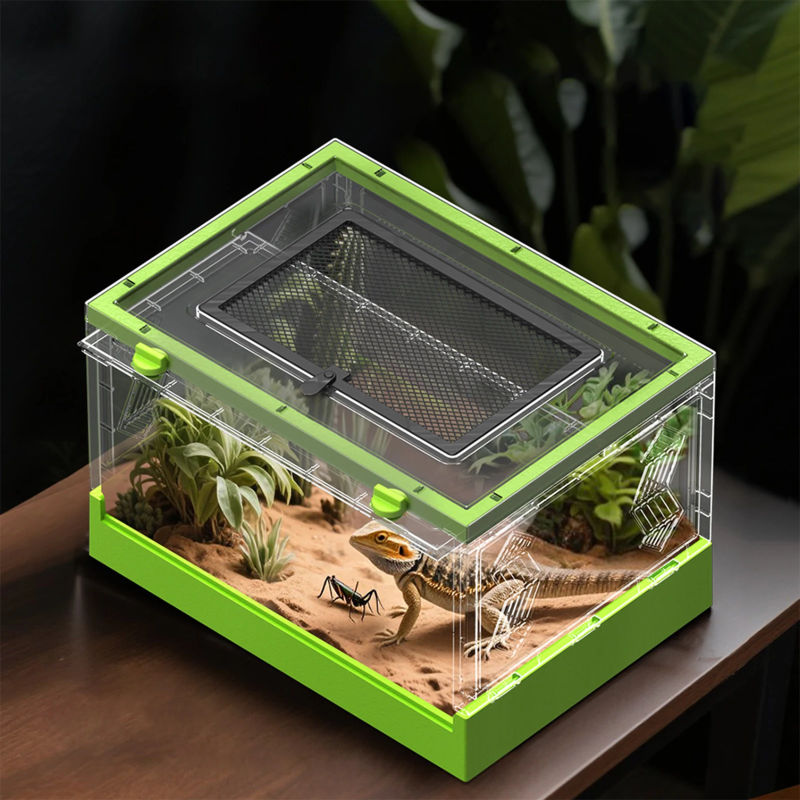 Caja de cría de mascotas plegable transparente, caja de alimentación para mascotas, lagarto, gusano de seda, escorpión, escarabajo, caja pequeña para reptiles - imagen 3