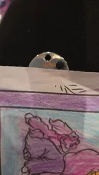 Imagen de reseña 1
