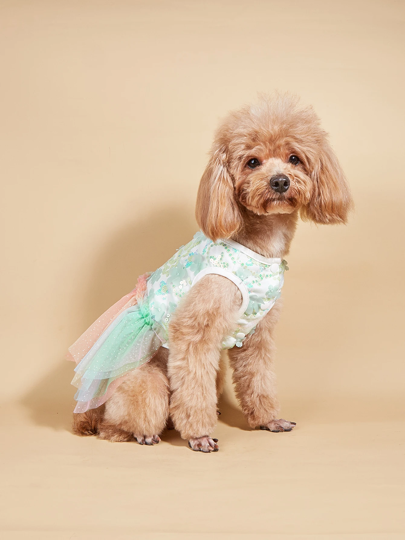 Vestido colorido degradado para mascotas, top floral de lentejuelas con falda de tul arcoíris, ropa de princesa de verano ligera y encantadora - imagen 2