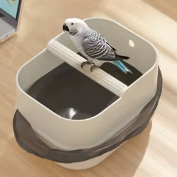Soporte de entrenamiento para aves en escritorio con base desmontable