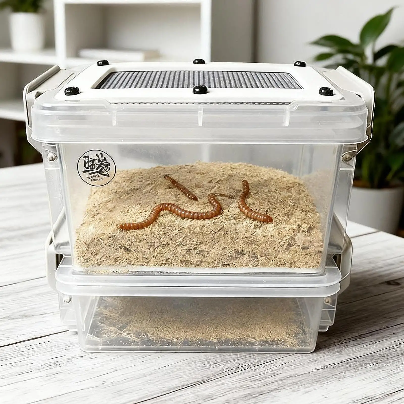 Caja de alimentación de cucarachas transparente, caja de cría de gusanos de comida reutilizable, Mini contenedor de gusanos de comida para terrario de mascotas, contenedor para incubar - imagen 2