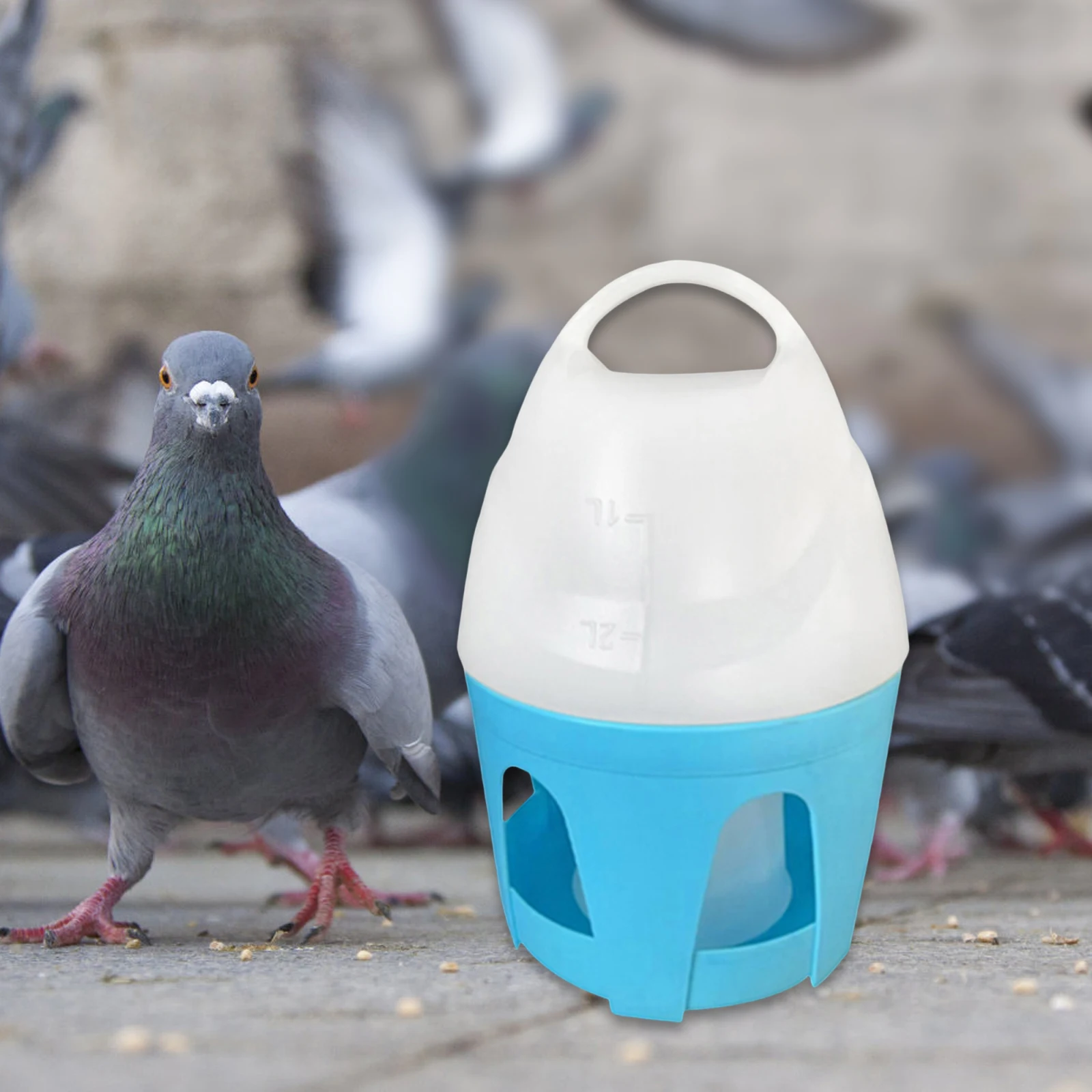 Dispensador de agua para palomas de gran capacidad, recipiente automático portátil para olla de agua para pájaros, para pato, pollos, paloma, suministros de alimentación canarios - imagen 3