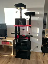 Imagen de reseña 4