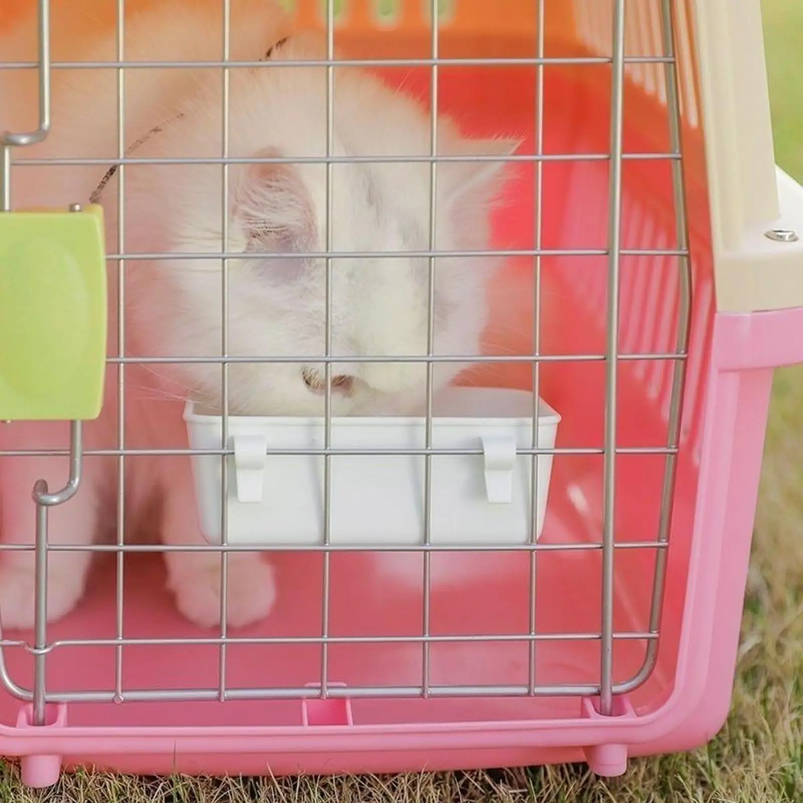 Cuencos colgantes para cajas de mascotas, plato multiusos para alimentación de perros con gancho, accesorios para conejos, Chinchillas, alimentador para gatos, 3 uds. - imagen 2