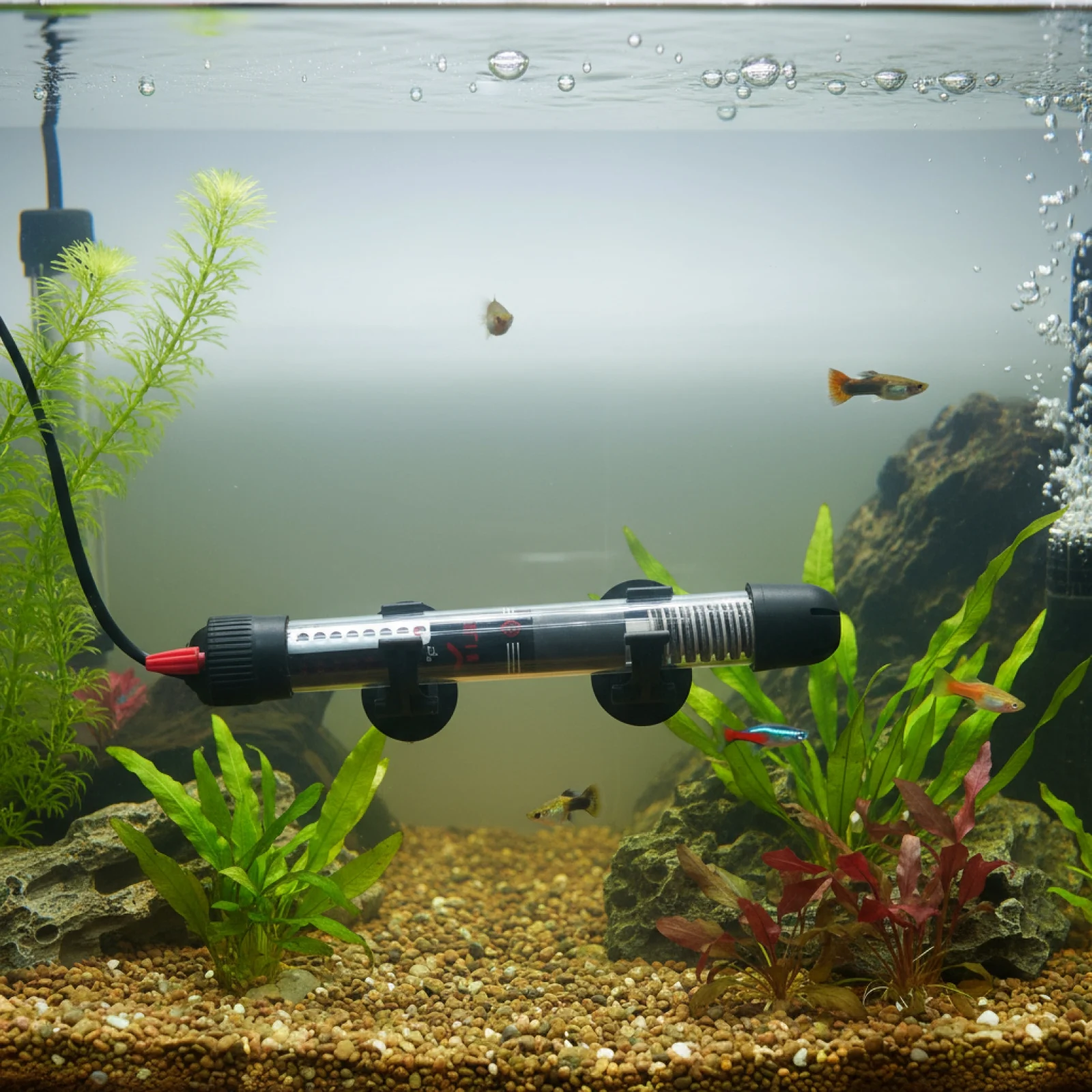 25/50/100/200W Submersible Fish Tank Heater with Suction Cups Aquarium Auto Temperature Control Warmer for Aquatic Pet Supplies - imagen 2