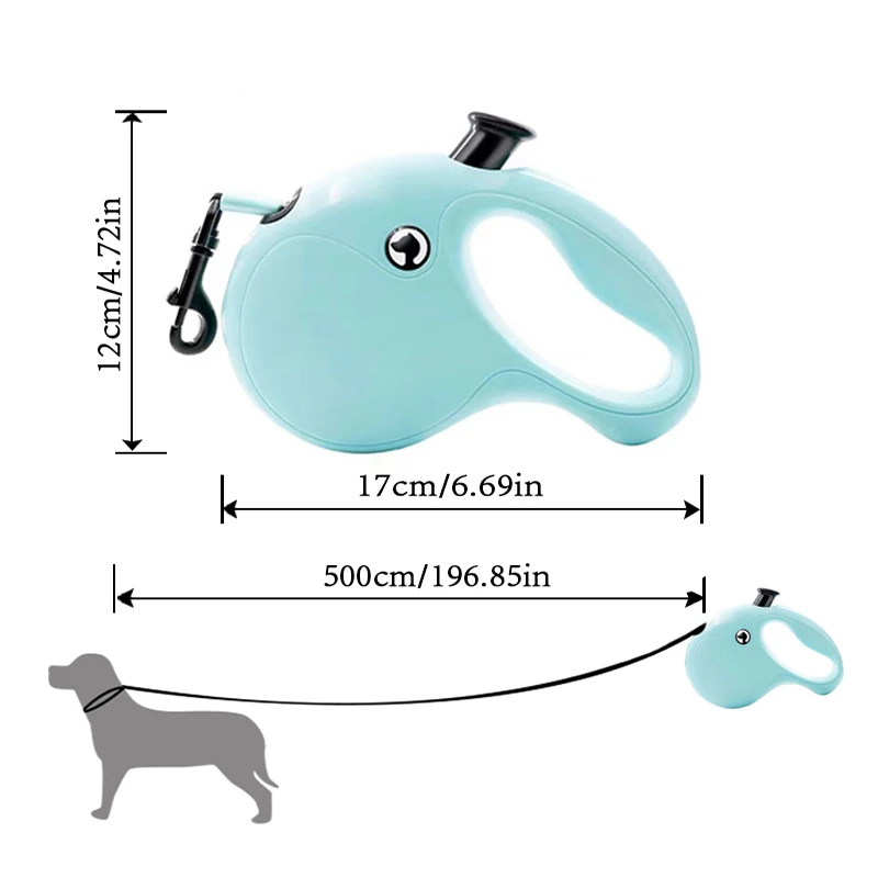 Set completo con collar y accesorios