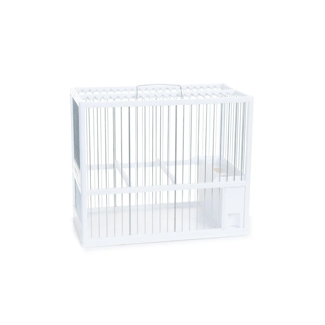 Jaula silvestrismo tamaño C2, para jilgueros, pardillos, verderones, jaula concurso - imagen 3