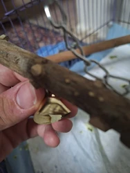 Imagen de reseña 2
