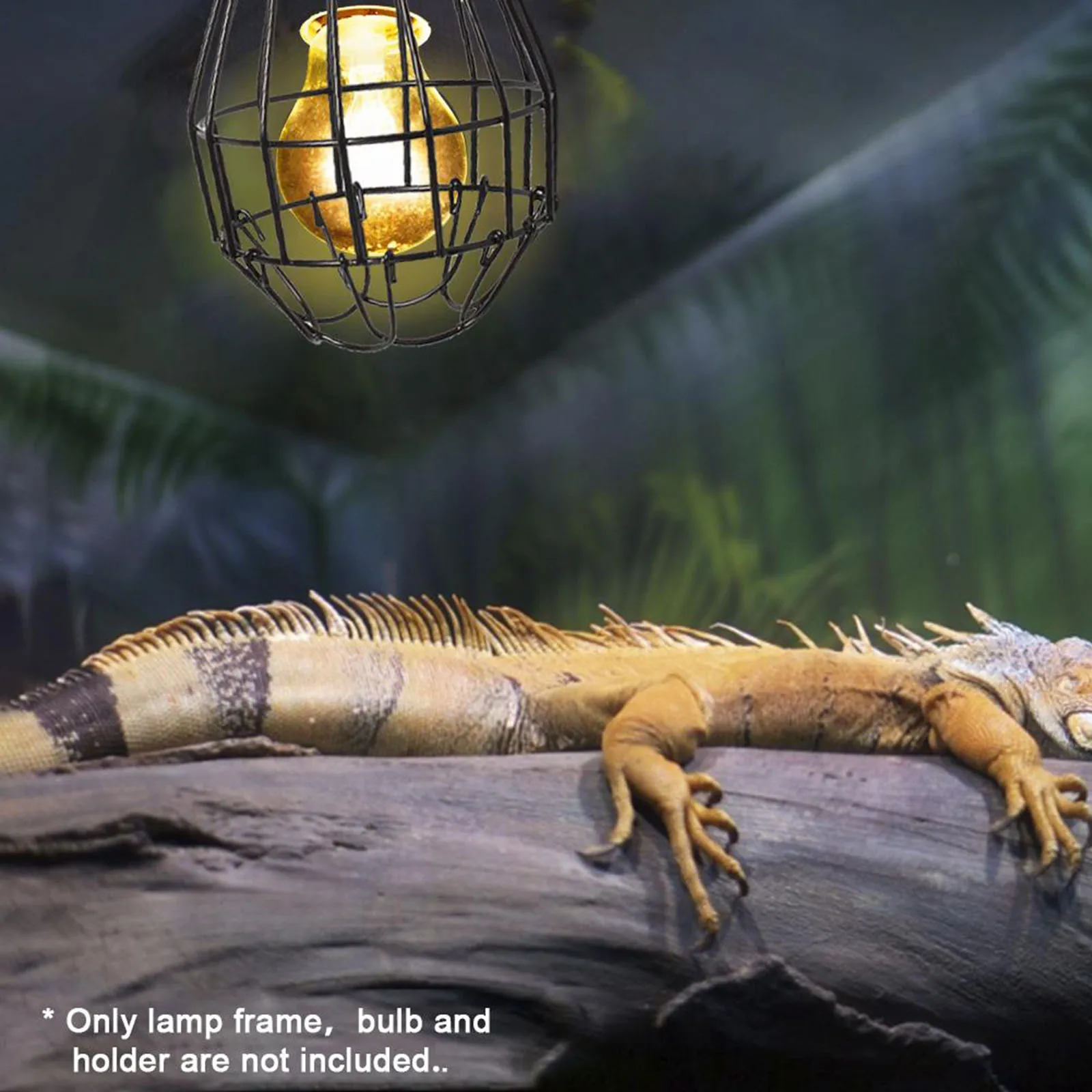 Cubierta de malla para lámpara de calor para reptiles, calentador antiescaldaduras, jaula protectora, accesorios para mascotas, jaula para aves, anfibios, suministros de bombillas - imagen 5