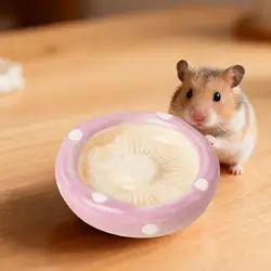Cuenco seta cerámico para hámster, chinchilla y jerbo