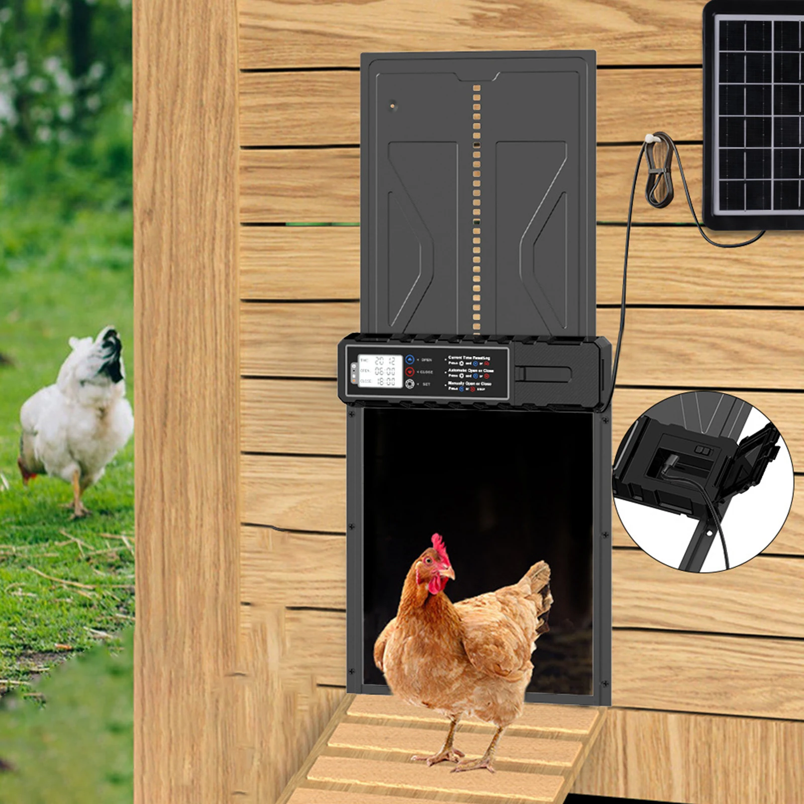 Puerta automática impermeable para gallinero con temporizador de pantalla grande, puerta eléctrica para pollo y pato para cría de aves de corral