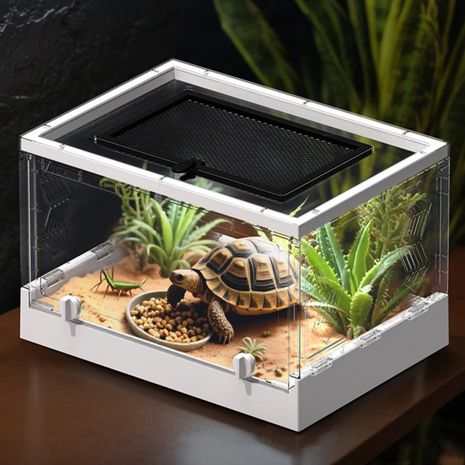 Caja de cría de mascotas plegable transparente, caja de alimentación para mascotas, lagarto, gusano de seda, escorpión, escarabajo, caja pequeña para reptiles - imagen 2