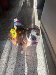 Imagen de reseña 2