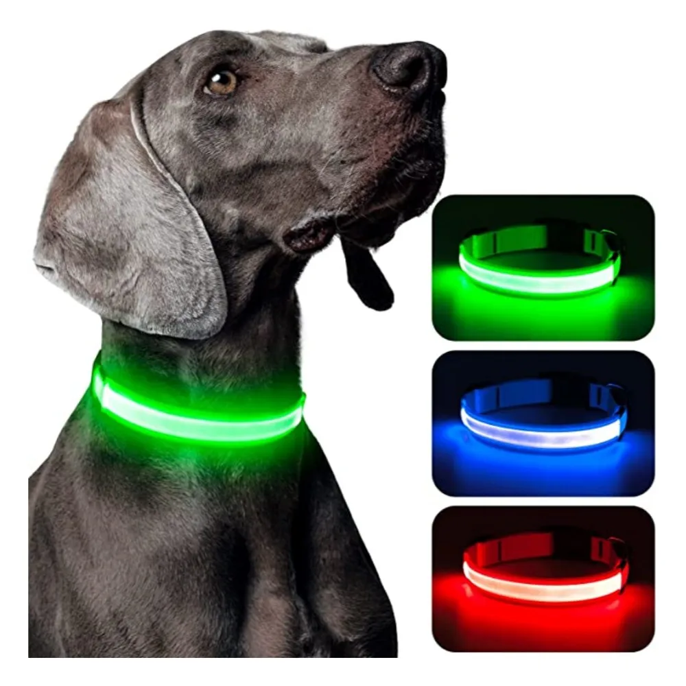 Collar LED para perros recargable USB con luz intermitente antiperdida - imagen 2