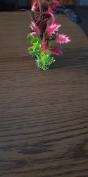 Imagen de reseña 3
