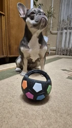 Imagen de reseña 2